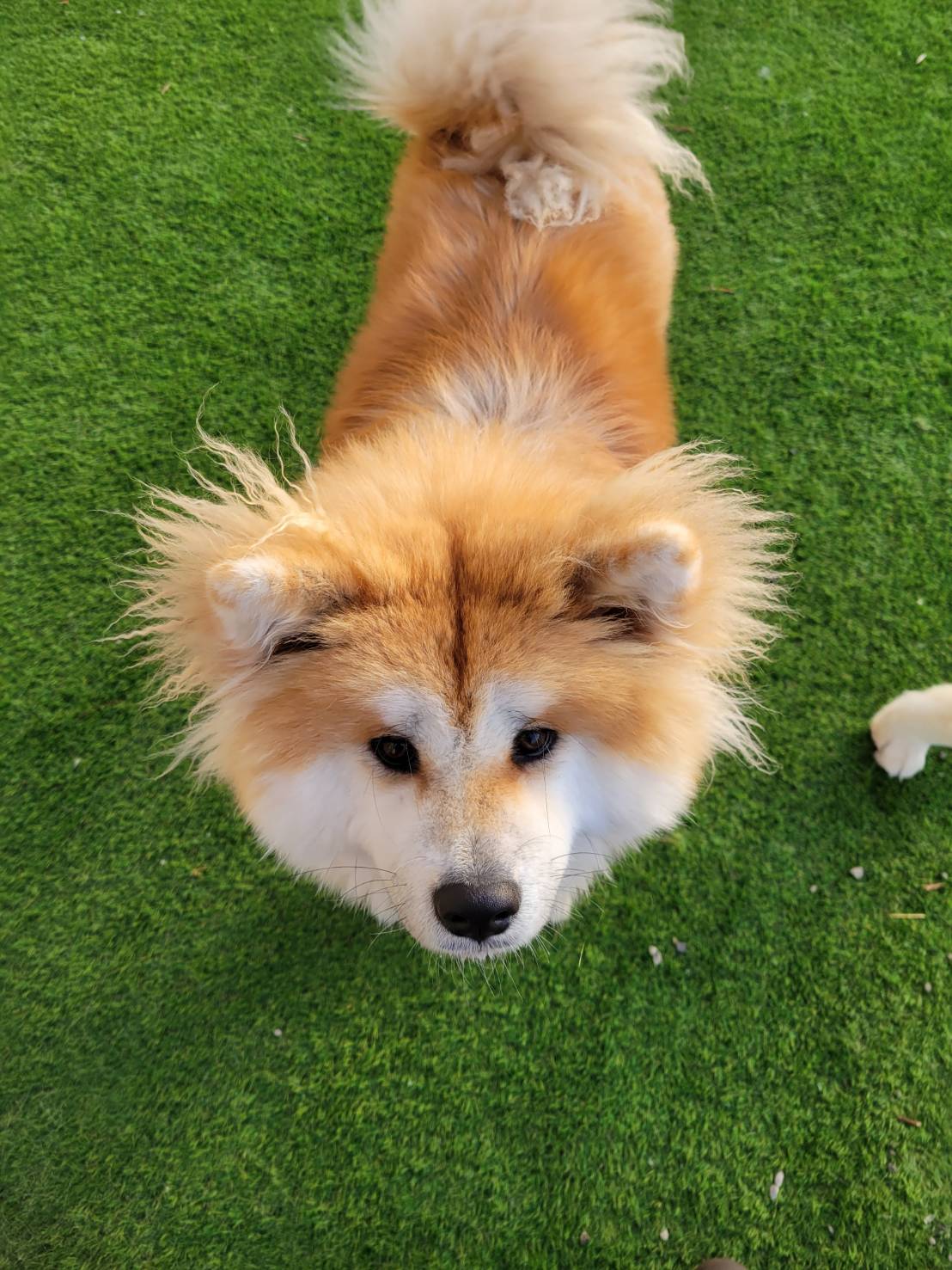 癒し アイチャッチ